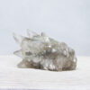 Krachtige orgonite drakenschedel met Mika, Zwarte Toermalijn en Bergkristal  PD0047 - Afbeelding 3